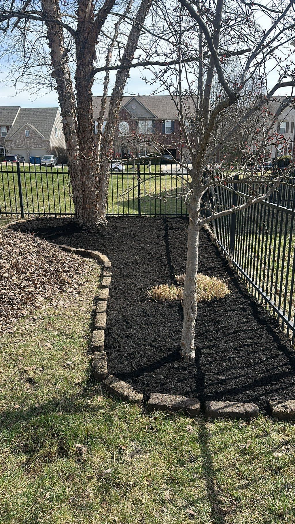 Cama de mantillo oscuro con borde de piedra alrededor de dos árboles cerca de cerca negra
