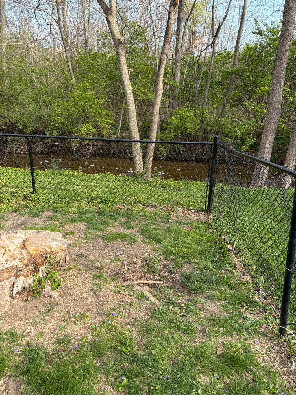 Black chain link fence installed along backyard creek with wooded treeline behind