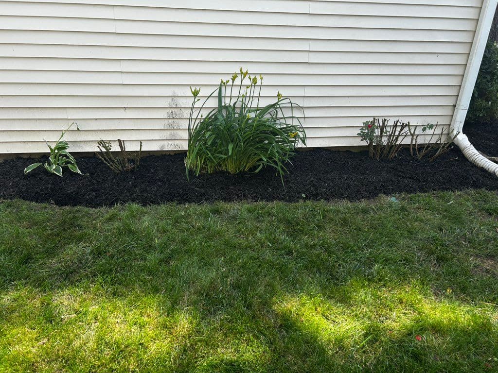 Dark mulch flower bed with hostas and daylilies along white vinyl siding