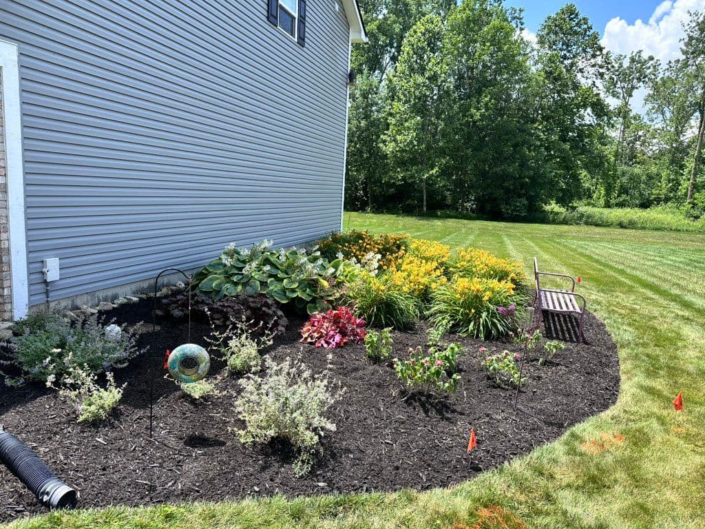 Macizo de flores acolchado con hostas y lirios amarillos junto a la casa