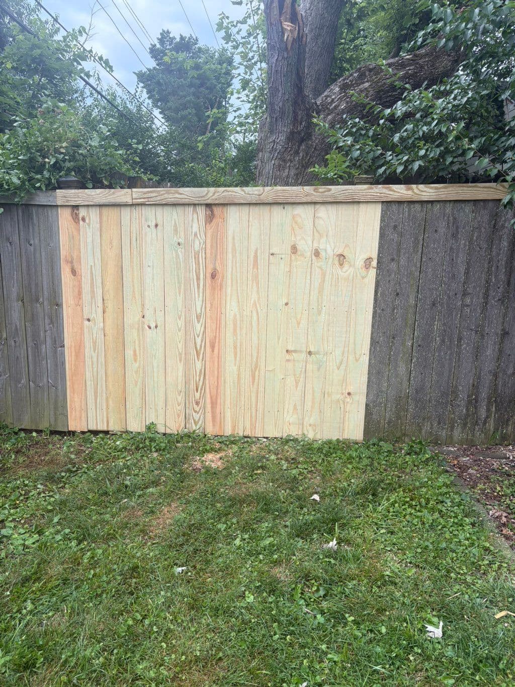 New wood fence boards replacing damaged section of weathered gray privacy fence