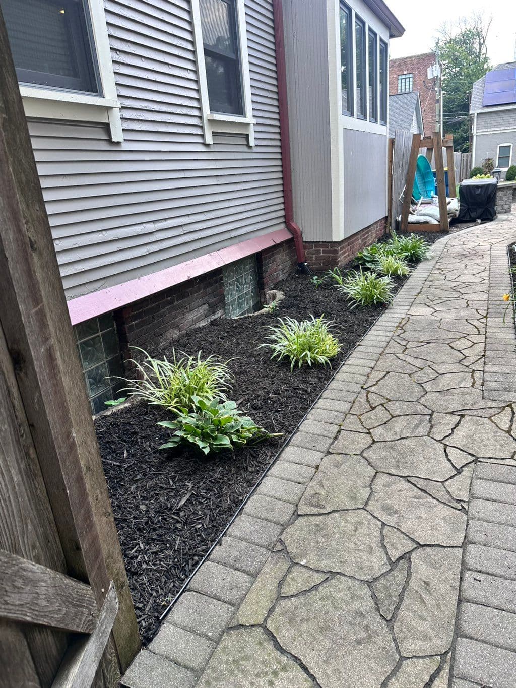 Macizo recién acolchado con hostas junto a los cimientos de la casa y sendero de adoquines