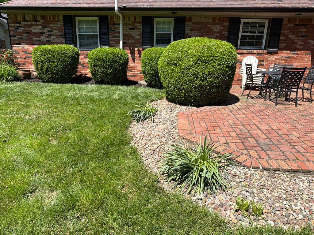 Round trimmed shrubs along brick house with gravel border and patio
