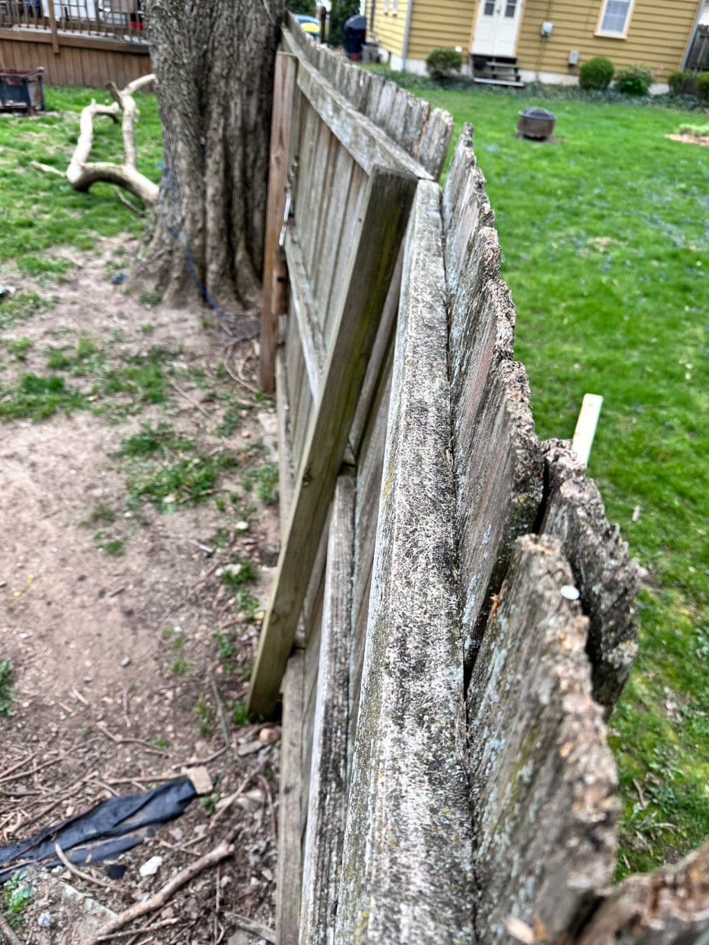 Old rotted wooden privacy fence leaning and falling over in backyard
