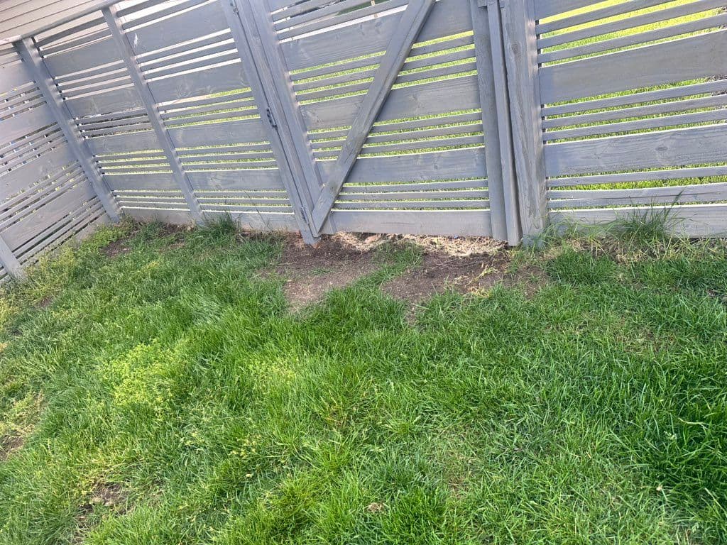 Gray horizontal-slat wood fence with gate repaired at base near grass