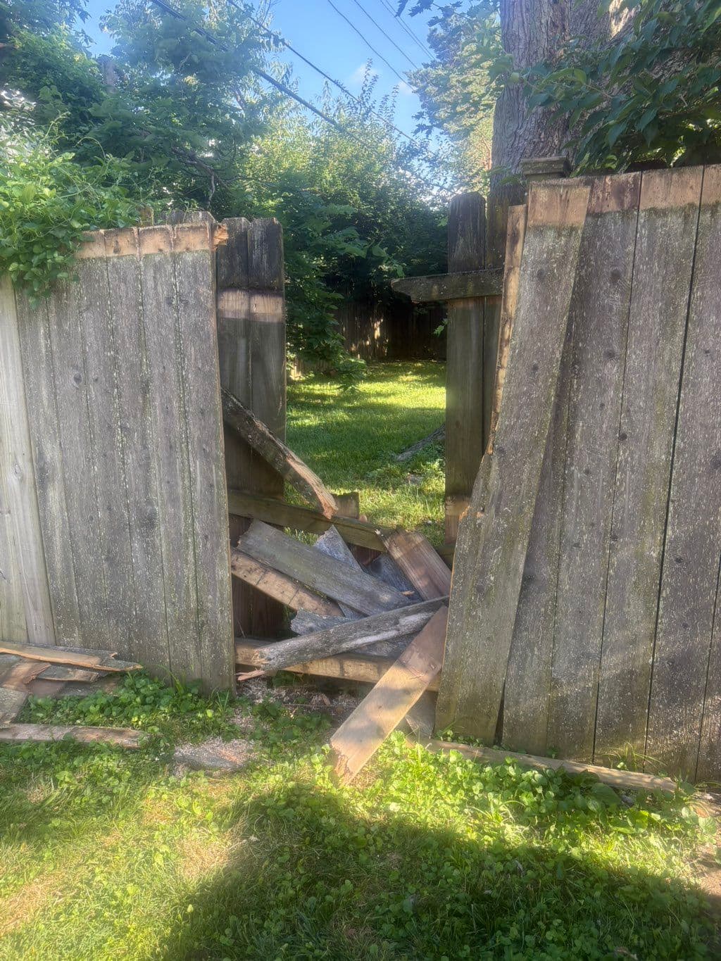Collapsed wooden fence gate with broken boards piled on ground
