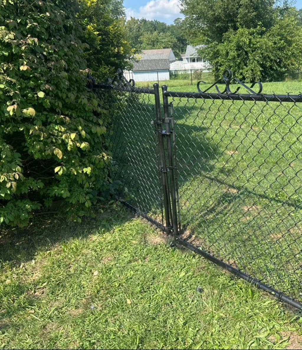 Black chain link fence with decorative scroll top rail and walk gate