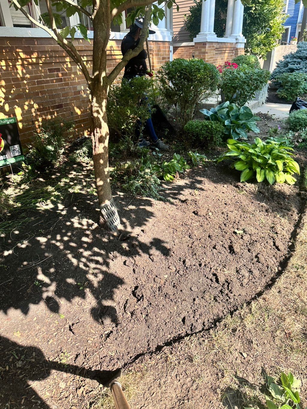 Workers weeding front yard bed with hostas and shrubs near brick house