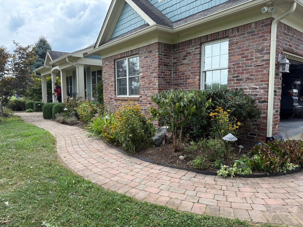 Mulched front yard flower bed with black-eyed Susans along brick house