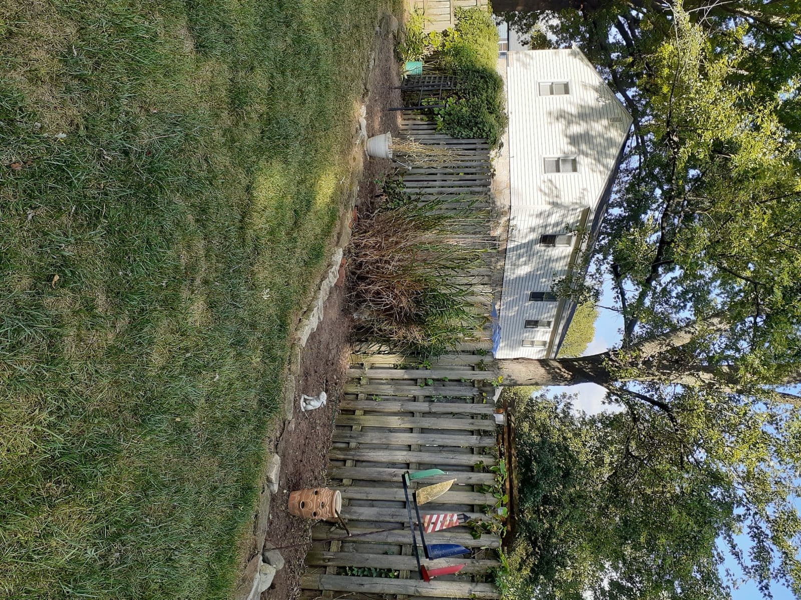 Overgrown garden bed along weathered wooden fence beside white house