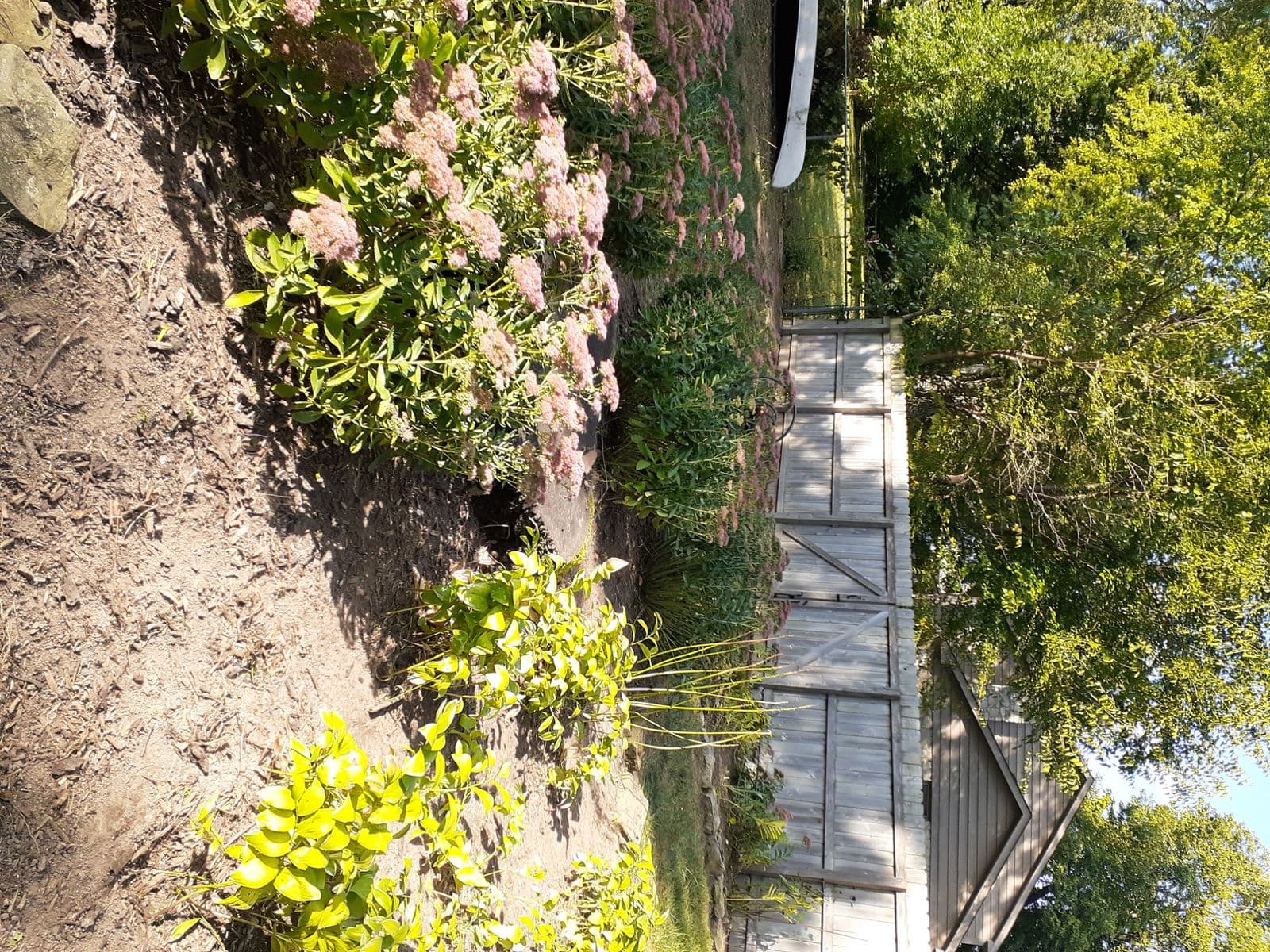 Weathered wood gate beside flowering sedum and mixed perennial garden bed