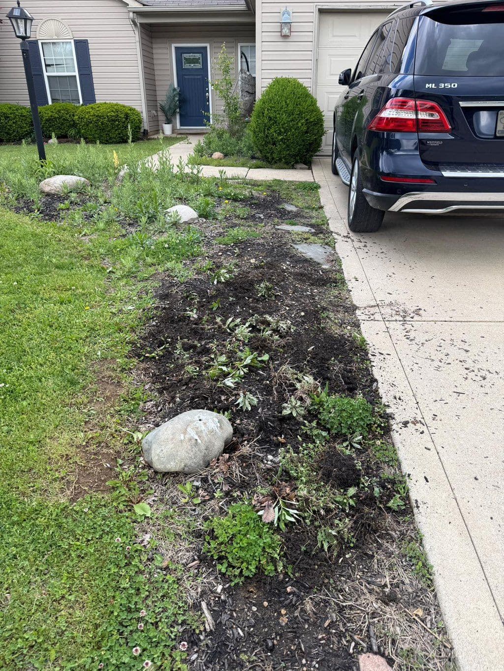 Partially weeded front yard garden bed along concrete driveway with decorative boulders