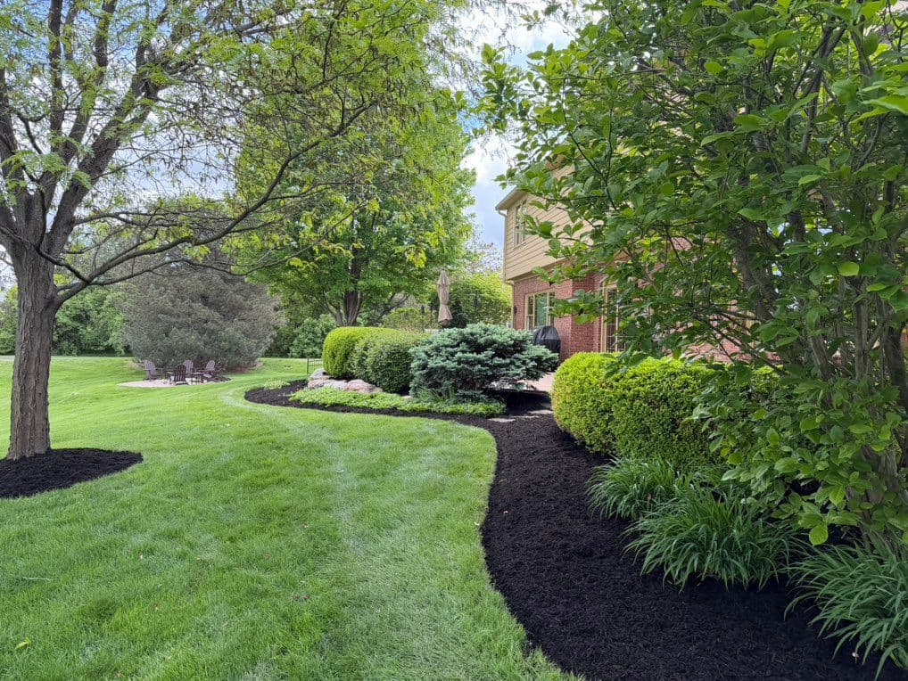 Dark mulch beds curving along shrubs and trees beside brick house