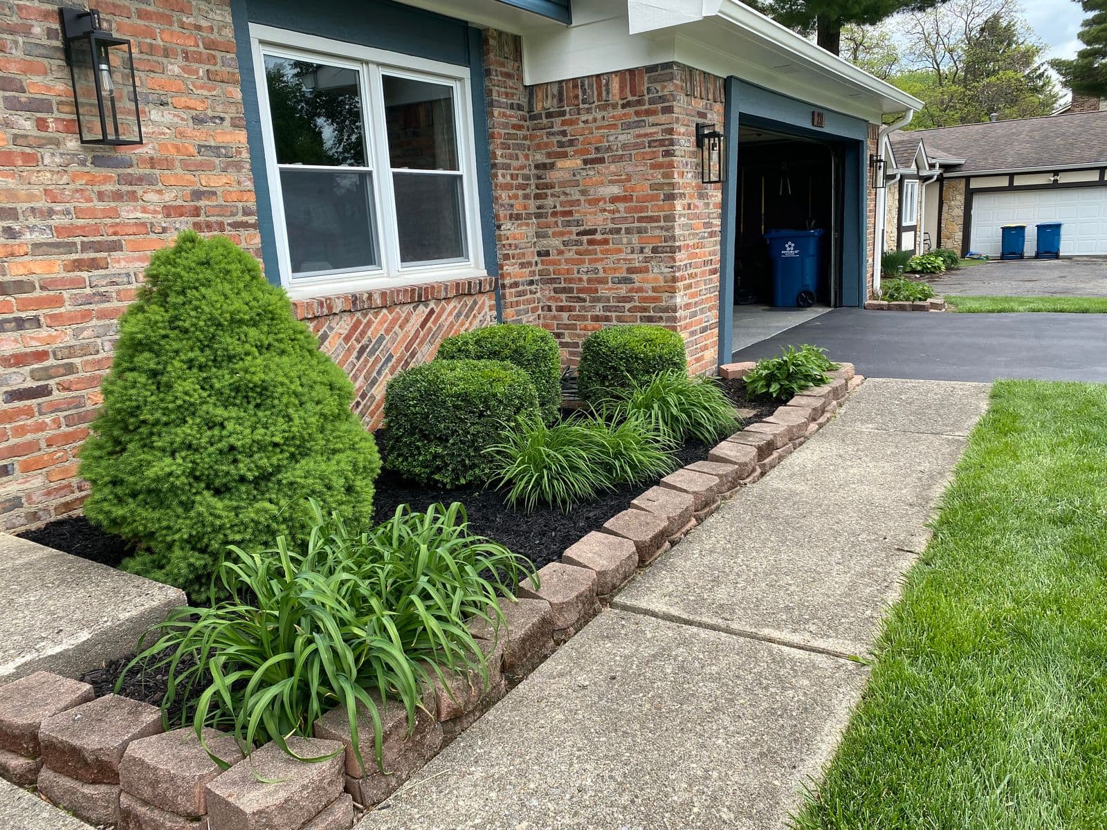 Front yard flower bed with black mulch, trimmed shrubs, and stone edging